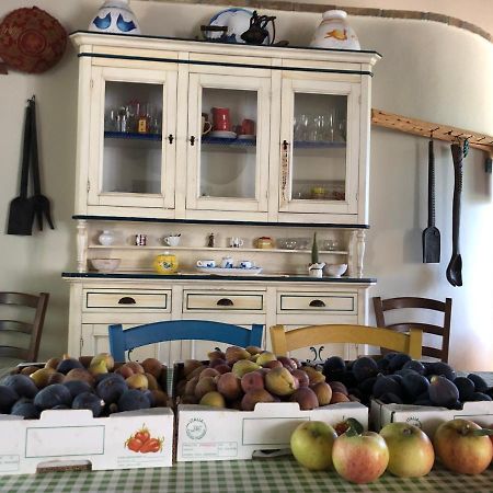 Agriturismo Bingia Bonaria Pula Esterno foto