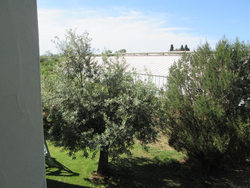 Agriturismo Bingia Bonaria Pula Esterno foto